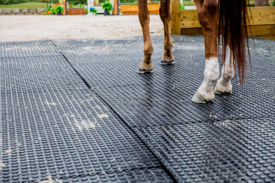 Why Rubber Stall Mats Are a Game-Changer for Your Stable or Trailer