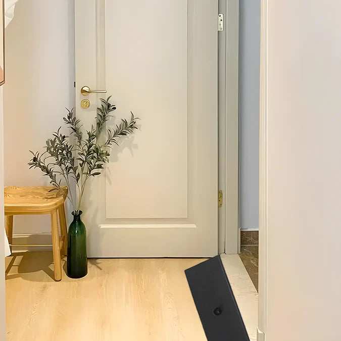 Accessibility Ramps